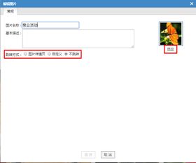 凡科与3721 自助建站中的图片编辑艺术