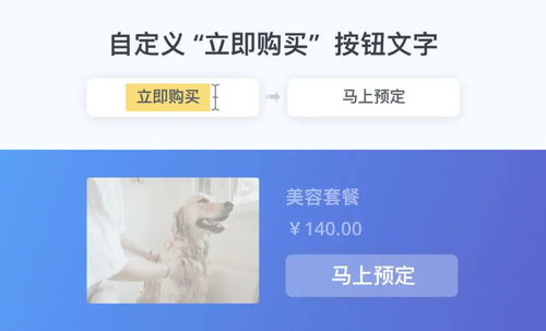九天自助建站系统 如何用自助建站打造媲美定制网站的完美效果？